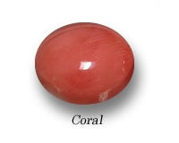 Coral / मूंगा / Moonga