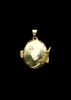 Zevaari USA'S Limited Edition C-Shield Ayurvedic Technique Virus Protection Pendent in Sterling Silver Oval Shape